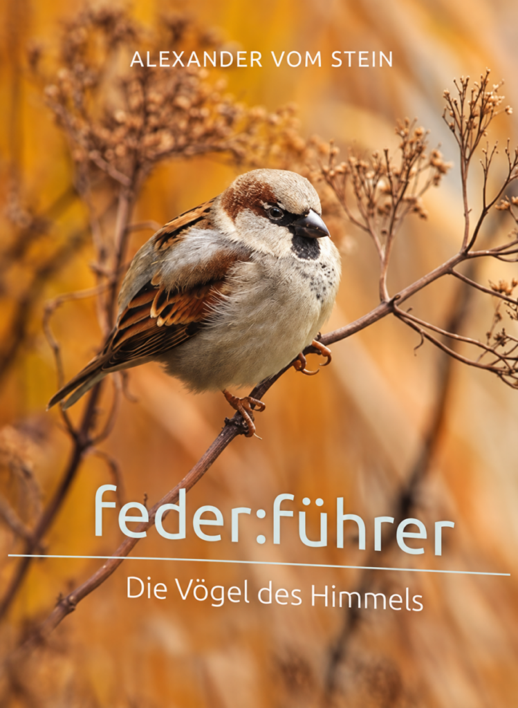 federführer - Christliche Bücherstube federführer