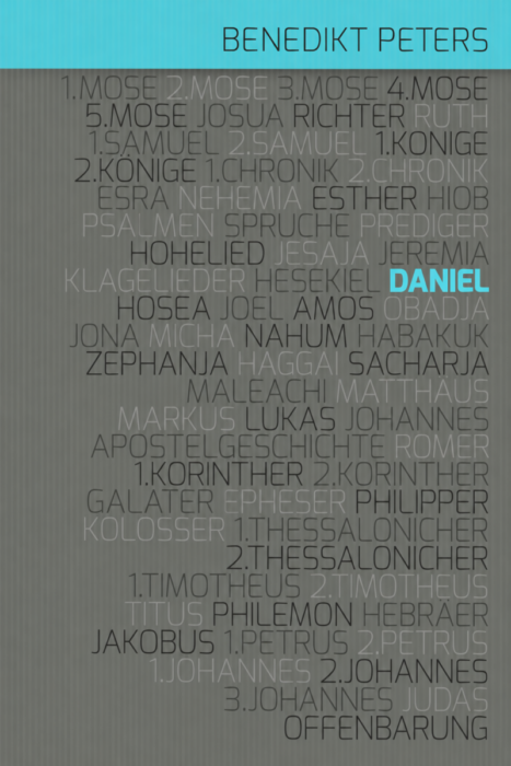 Kommentar zum Buch Daniel